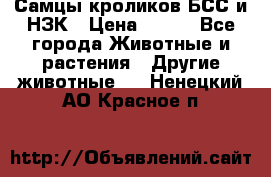 Самцы кроликов БСС и НЗК › Цена ­ 400 - Все города Животные и растения » Другие животные   . Ненецкий АО,Красное п.